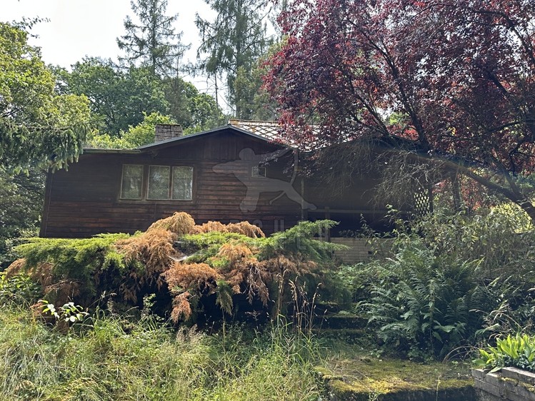 Prodej rodinného domu 250 m², pozemek 3 343 m² - foto 6