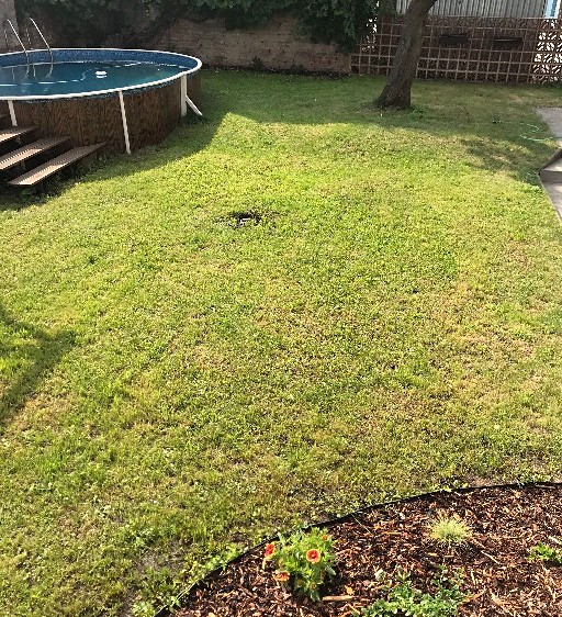Prodej rodinného domu 343 m², pozemek 669 m² - foto 6
