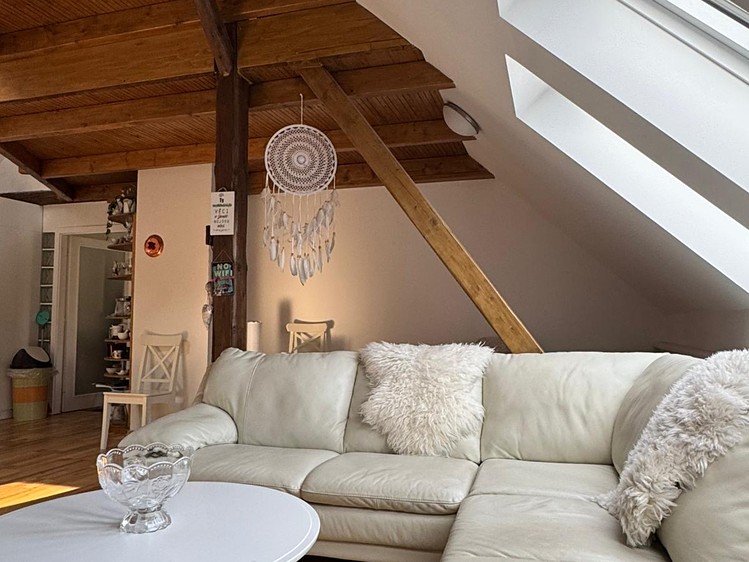 Prodej vícegeneračního domu 315 m², pozemek 933 m² - foto 4