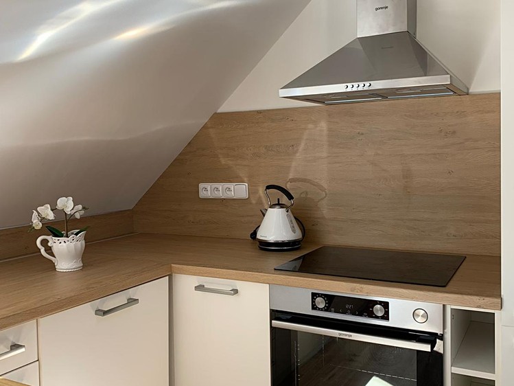 Prodej vícegeneračního domu 315 m², pozemek 933 m² - foto 5