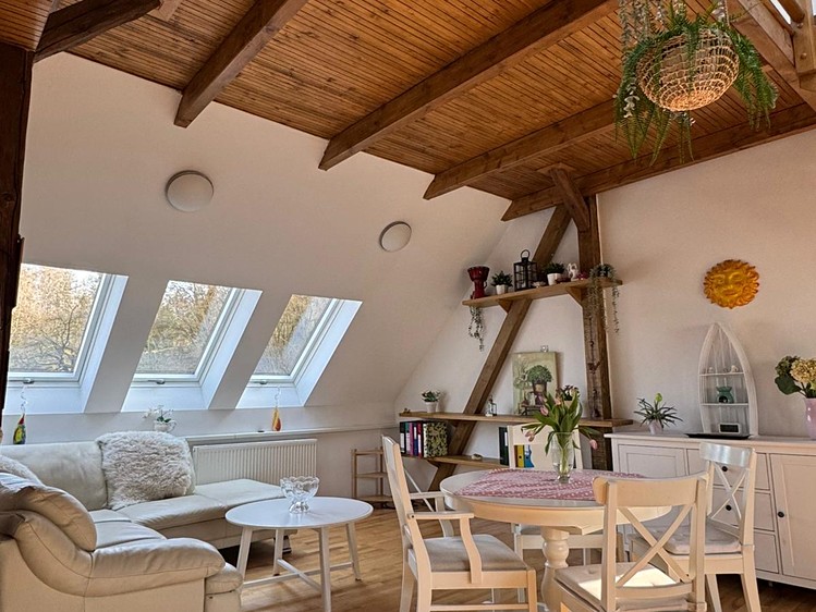 Prodej vícegeneračního domu 315 m², pozemek 933 m² - foto 8