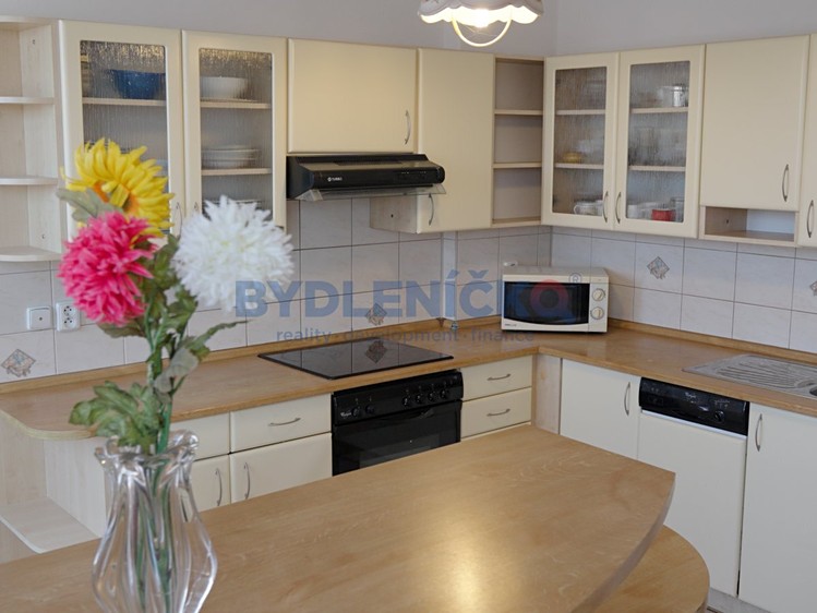 Prodej rodinného domu 250 m², pozemek 790 m² - foto 6