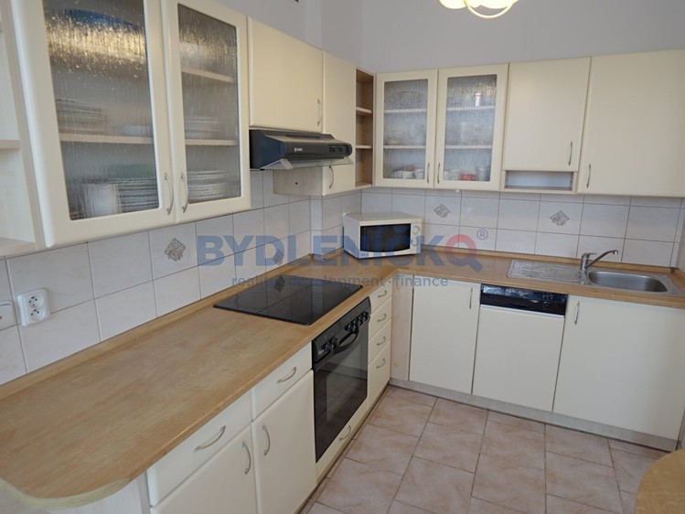 Prodej rodinného domu 250 m², pozemek 790 m² - foto 8