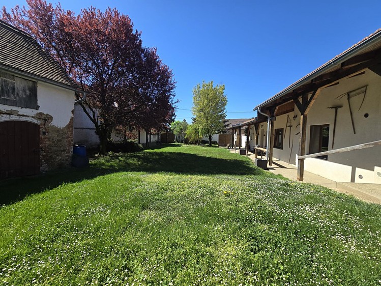 Prodej rodinného domu 150 m², pozemek 2 089 m² - foto 5
