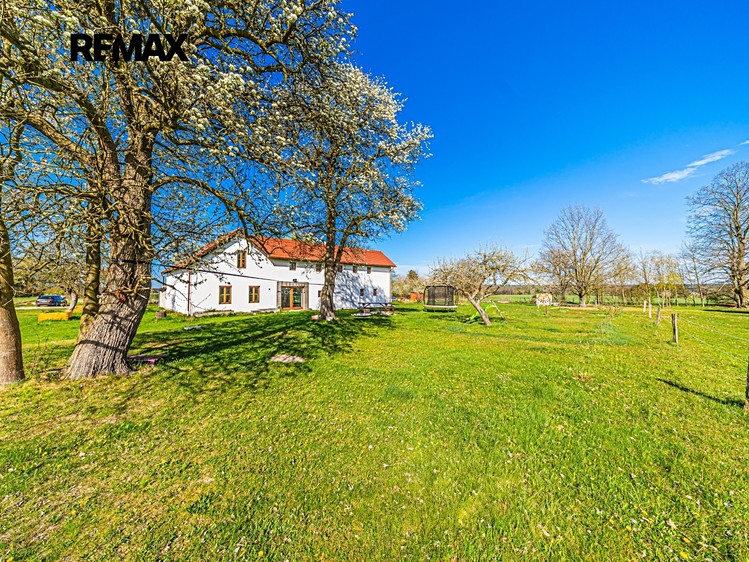 Prodej rodinného domu 220 m², pozemek 10 192 m² - foto 6