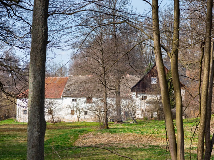 Prodej zemědělské usedlosti 150 m², pozemek 23 756 m² - foto 1