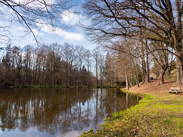 Prodej zemědělské usedlosti 150 m², pozemek 23 756 m² - foto 4