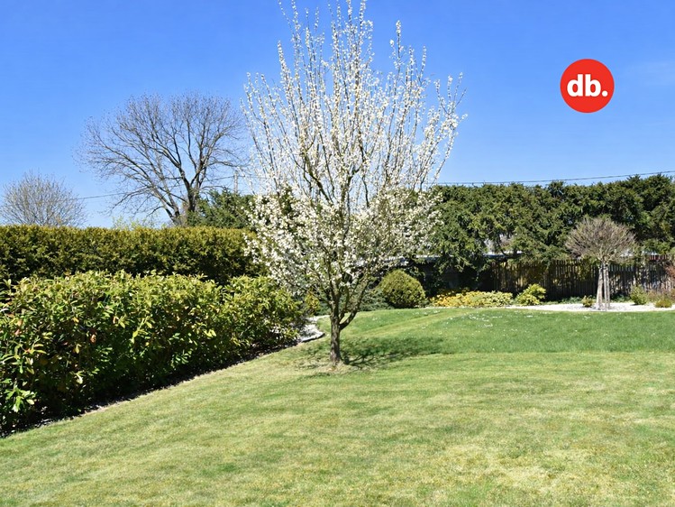 Prodej rodinného domu 238 m², pozemek 1 152 m² - foto 6
