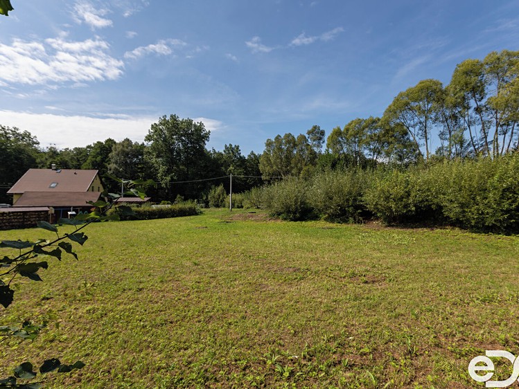 Prodej stavebního pozemku 2 393 m² - foto 8