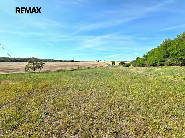 Prodej pole 3 590 m² - foto 4