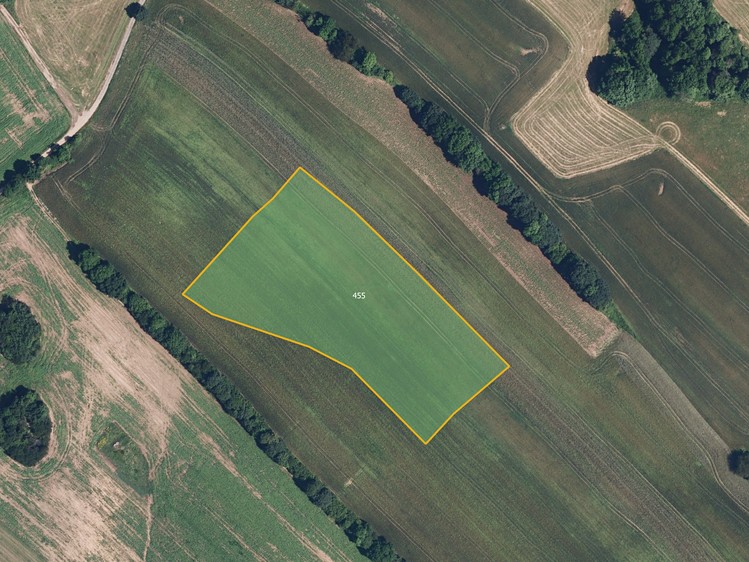 Prodej pole 12 329 m² - foto 1