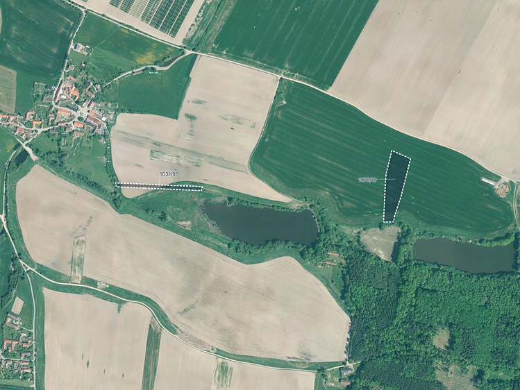 Prodej pole 21 656 m² - foto 1