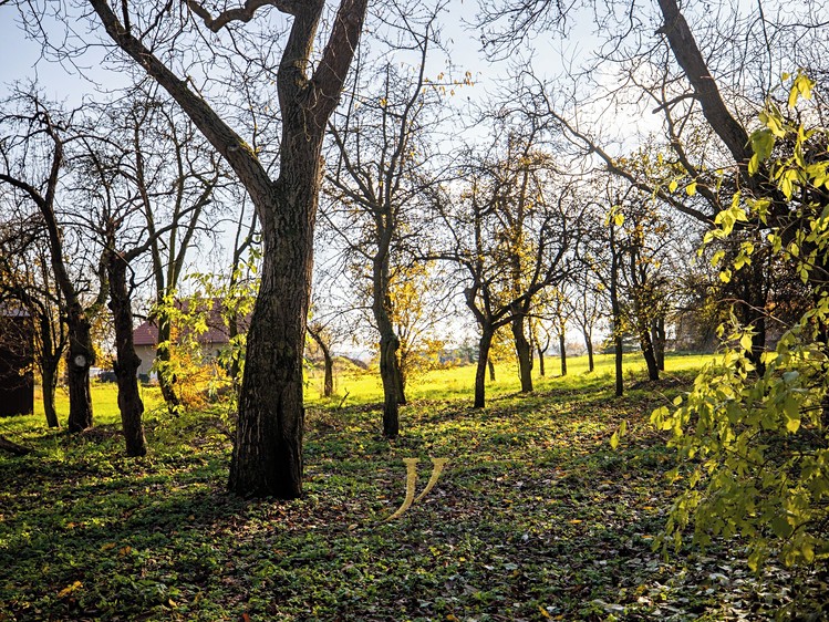 Prodej stavebního pozemku 13 897 m² - foto 2