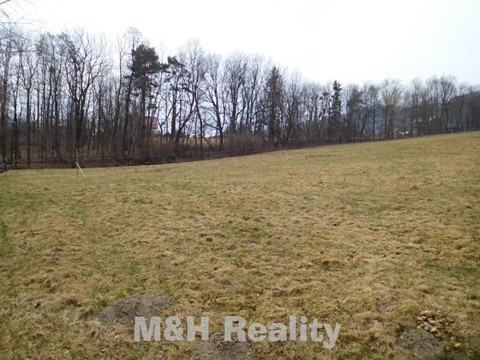 Prodej louky 10 724 m² - foto 1