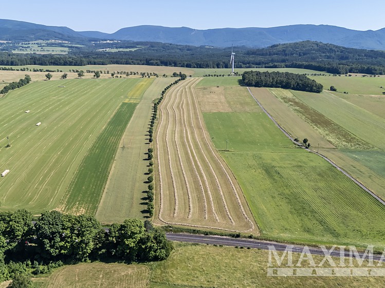Prodej pole 54 591 m² - foto 4