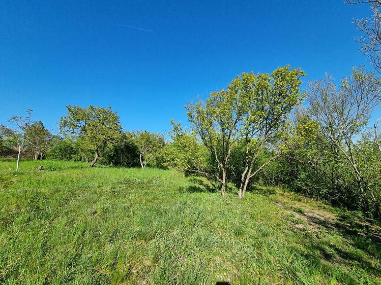 Prodej zahrady 998 m² - foto 3