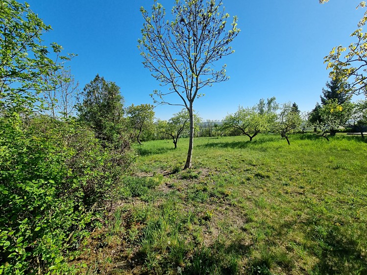 Prodej zahrady 998 m² - foto 2