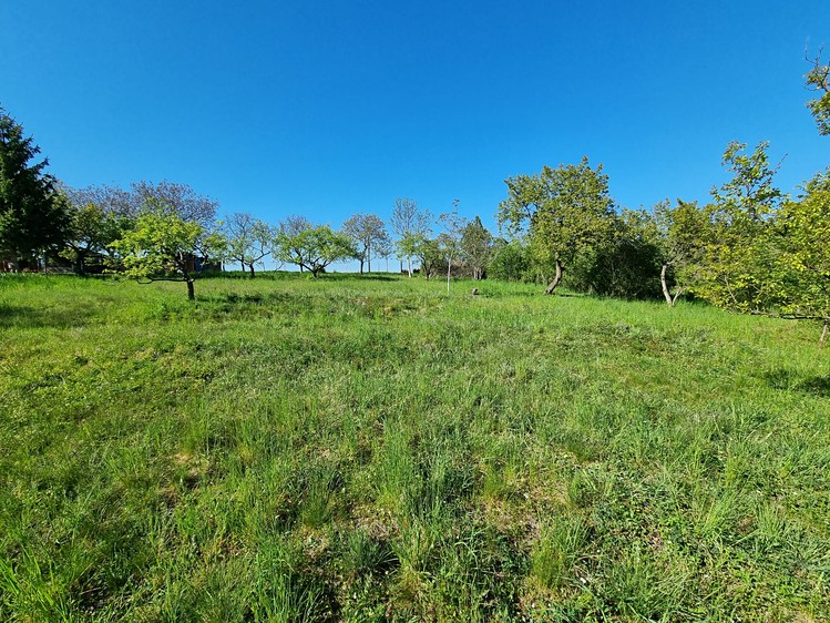 Prodej zahrady 998 m² - foto 1
