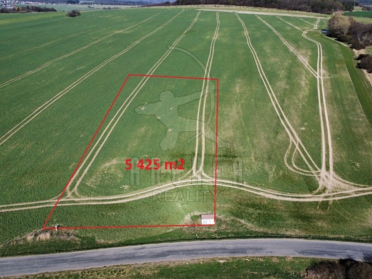 Prodej  pole 5 425 m² - foto 3