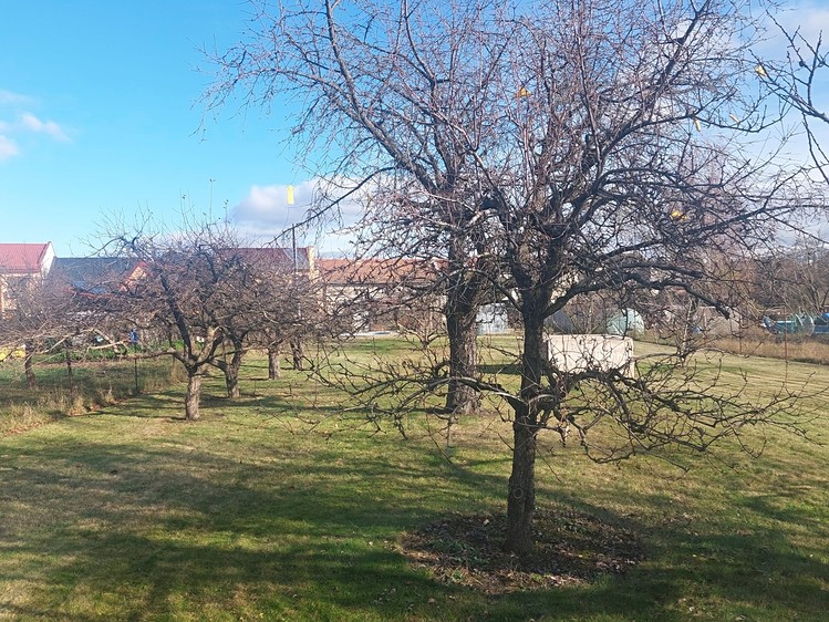 Prodej zahrady 1 080 m² - foto 1