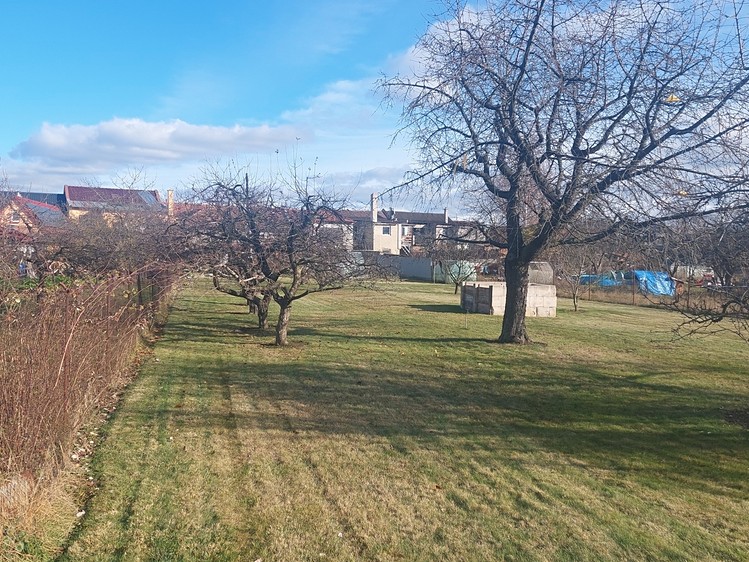 Prodej zahrady 1 080 m² - foto 2
