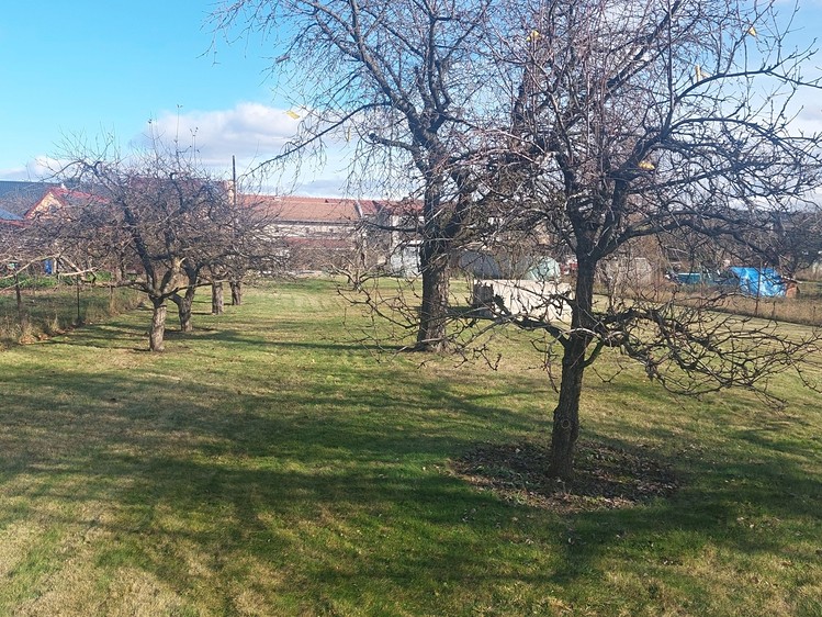 Prodej zahrady 1 080 m² - foto 5