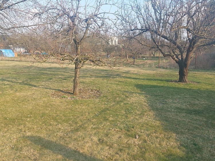 Prodej zahrady 1 080 m² - foto 7
