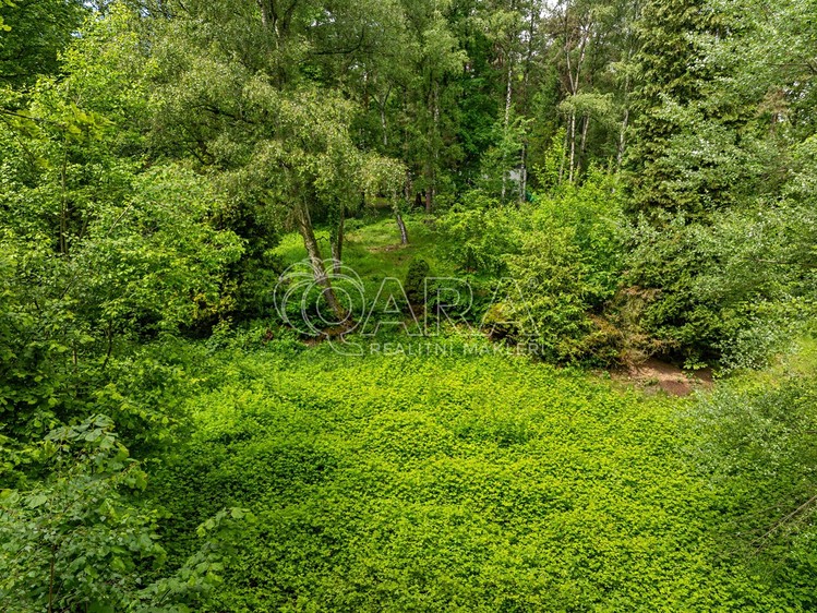 Prodej stavebního pozemku 5 519 m² - foto 4