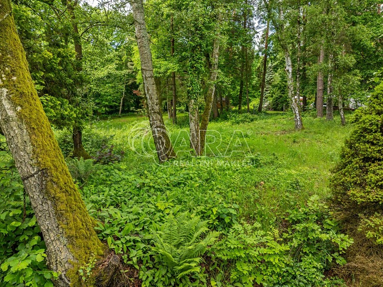 Prodej stavebního pozemku 5 519 m² - foto 5