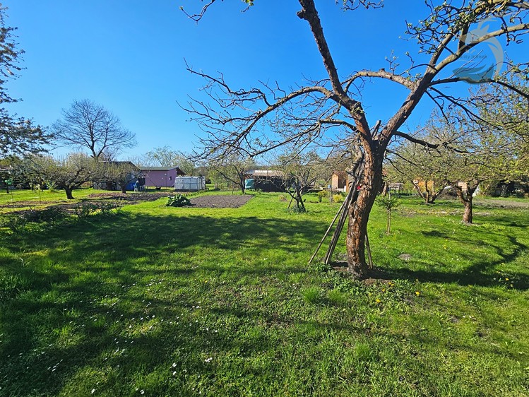 Prodej zahrady 408 m² - foto 5