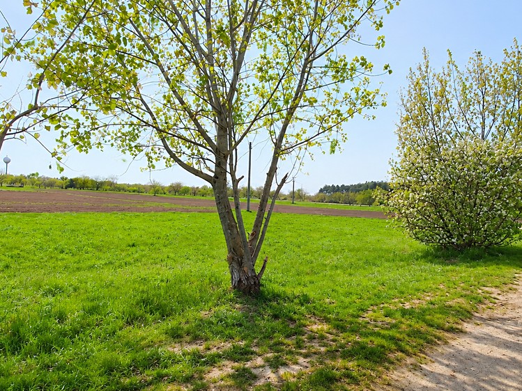Prodej stavebního pozemku 853 m² - foto 6