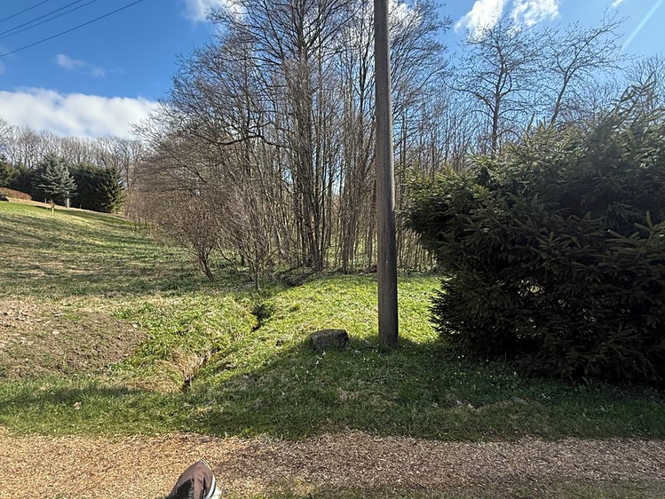 Prodej lesa 1 892 m² - foto 1