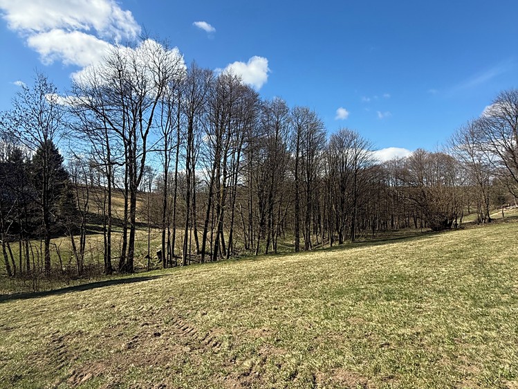 Prodej lesa 1 892 m² - foto 4