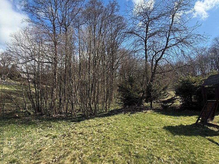 Prodej lesa 1 892 m² - foto 7