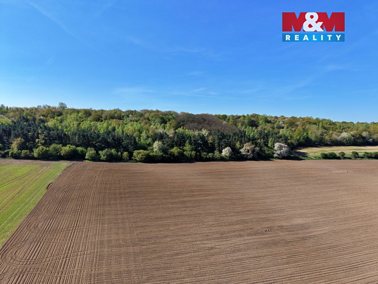 Prodej lesa 5 857 m² - foto 5