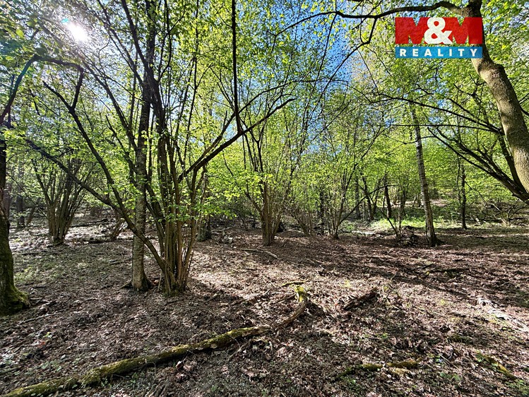 Prodej lesa 5 857 m² - foto 7