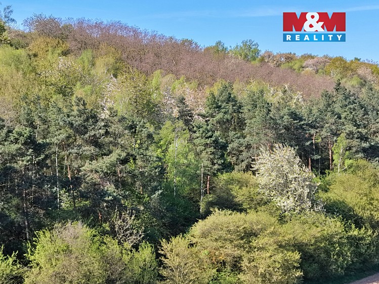 Prodej lesa 5 857 m² - foto 6