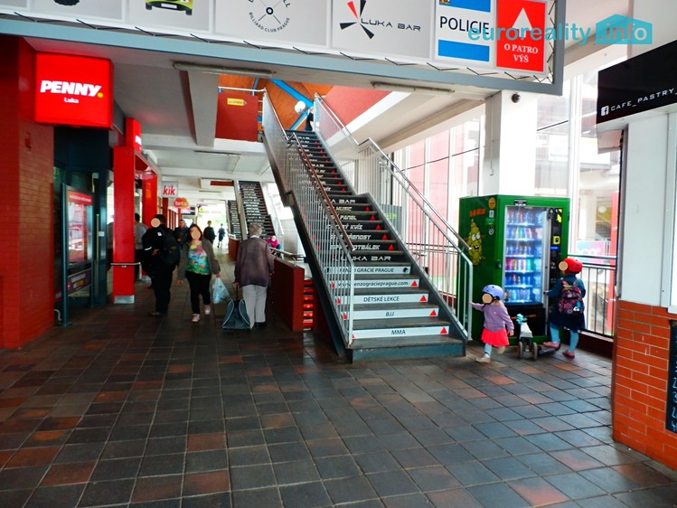Pronájem obchodního prostoru 735 m² - foto 3