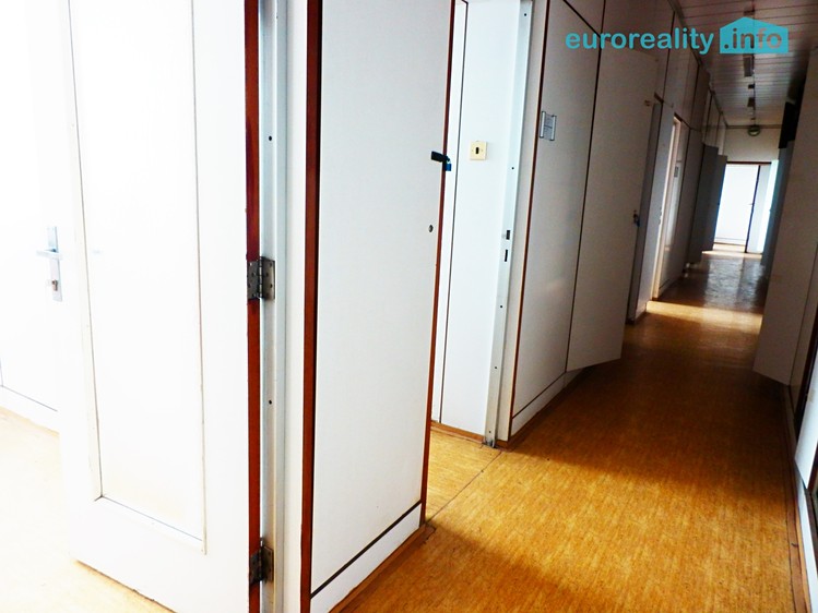 Pronájem obchodního prostoru 735 m² - foto 8