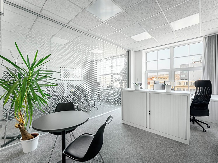 Pronájem kanceláře 270 m² - foto 5