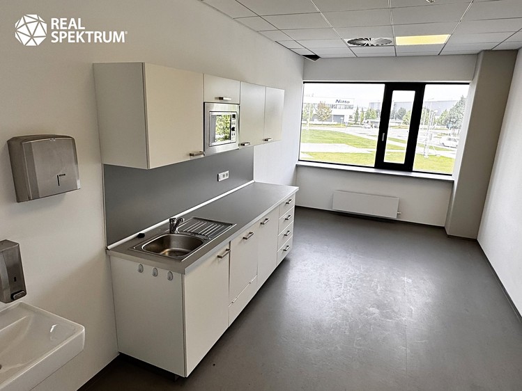 Pronájem kanceláře 294 m² - foto 6