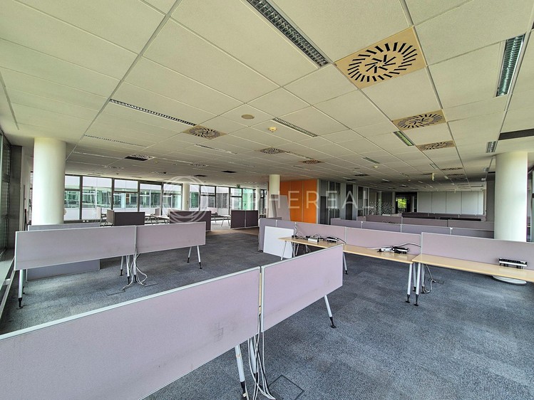 Pronájem kanceláře 2 000 m² - foto 8