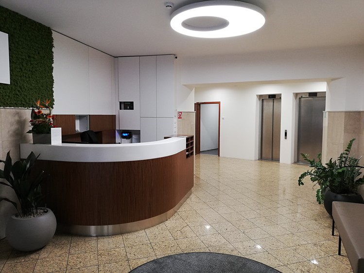 Pronájem kanceláře 20 m² - foto 3
