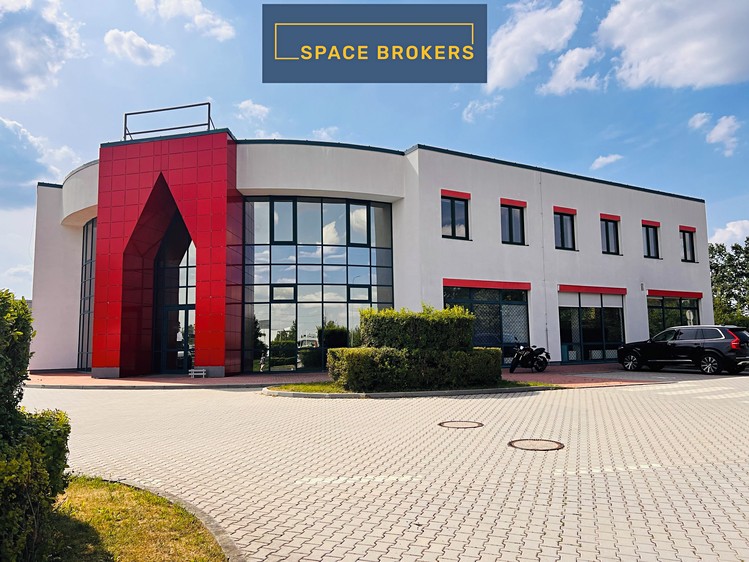 Pronájem obchodního prostoru 1 290 m² - foto 3