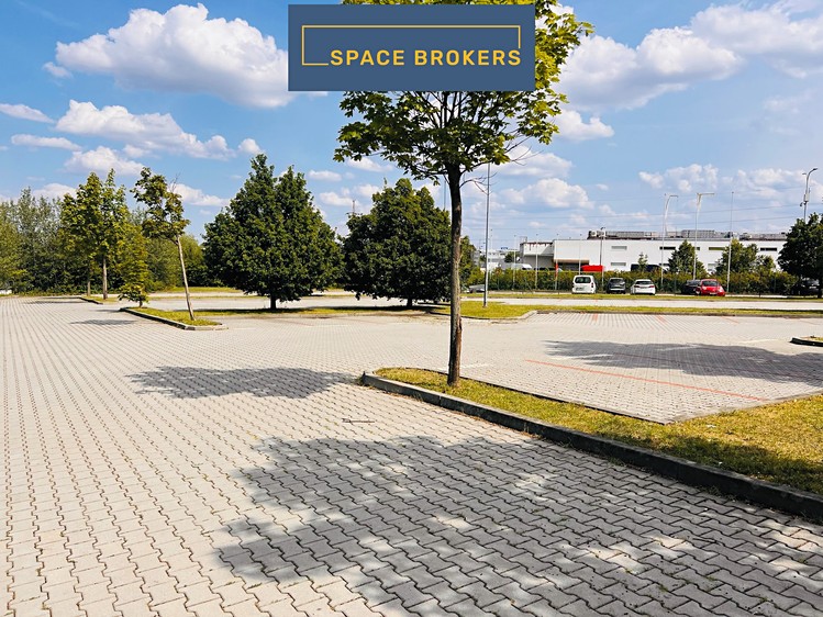 Pronájem obchodního prostoru 1 290 m² - foto 5