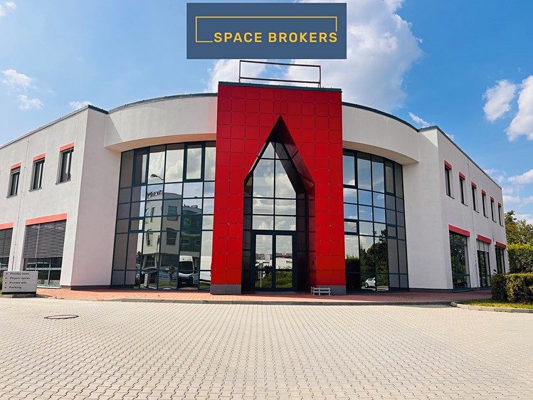 Pronájem obchodního prostoru 2 228 m² - foto 3