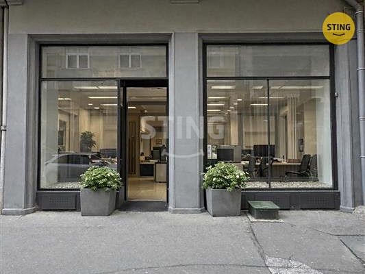 Pronájem obchodního prostoru 220 m² - foto 2