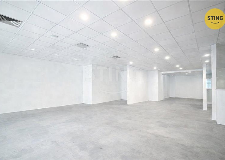 Pronájem obchodního prostoru 220 m² - foto 4