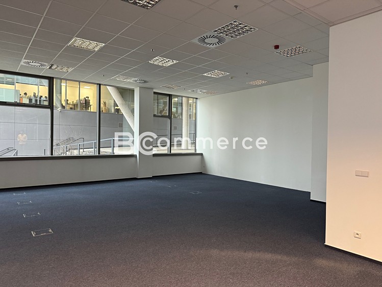 Pronájem kanceláře 780 m² - foto 4