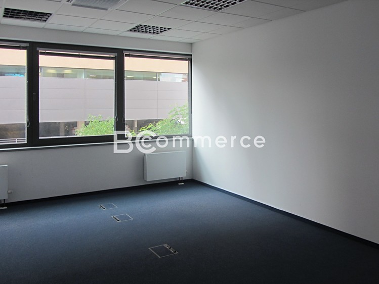 Pronájem kanceláře 412 m² - foto 3